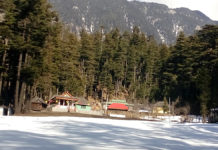 Discovering Devidarh and Jauni Valley Mandi Himachal