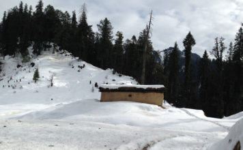 Visit to Hatu Peak Narkanda Shimla