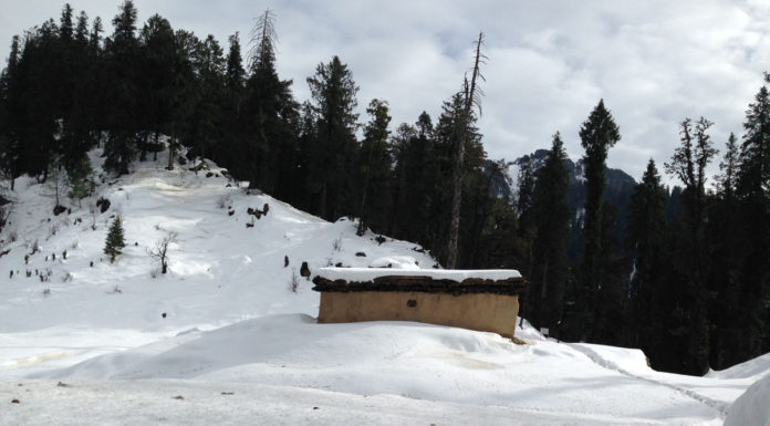 Visit to Hatu Peak Narkanda Shimla