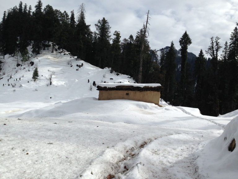 Visit to Hatu Peak Narkanda Shimla
