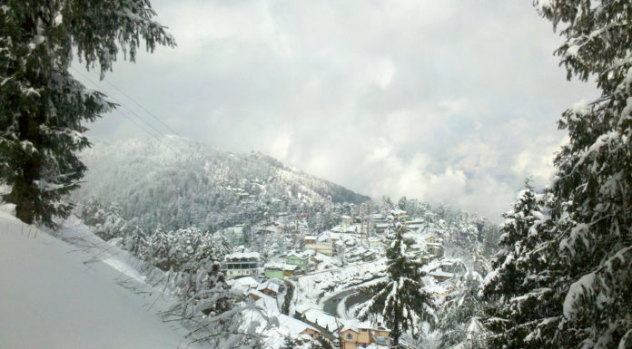 Road Trip to Chail and Kufri