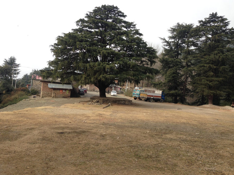 Mandi – Diana Park – Jhatingri – Barot